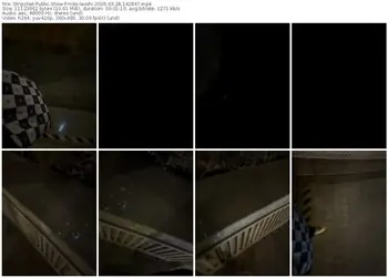 stripchat-nide-laoshi-03-28-2026-14-28-47