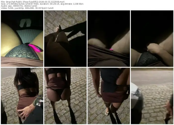 stripchat-joel852-03-31-2026-02-29-08