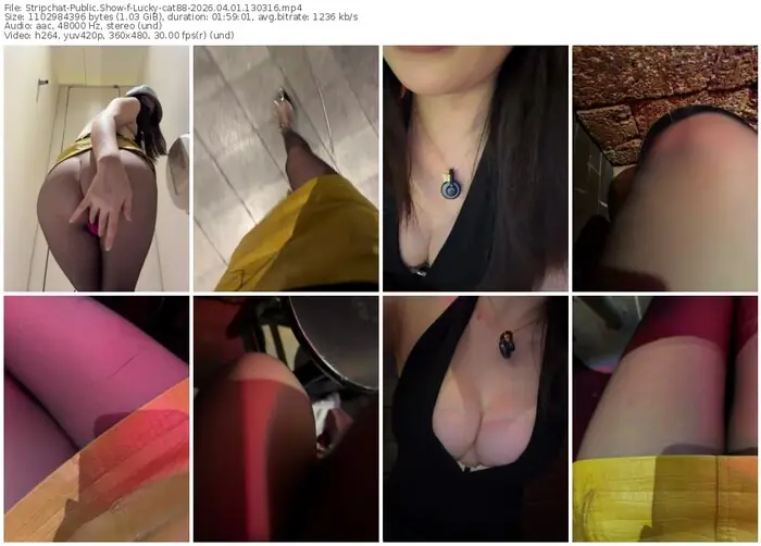 stripchat-lucky-cat88-04-01-2026-13-03-16