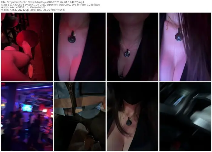 stripchat-lucky-cat88-04-01-2026-17-42-07