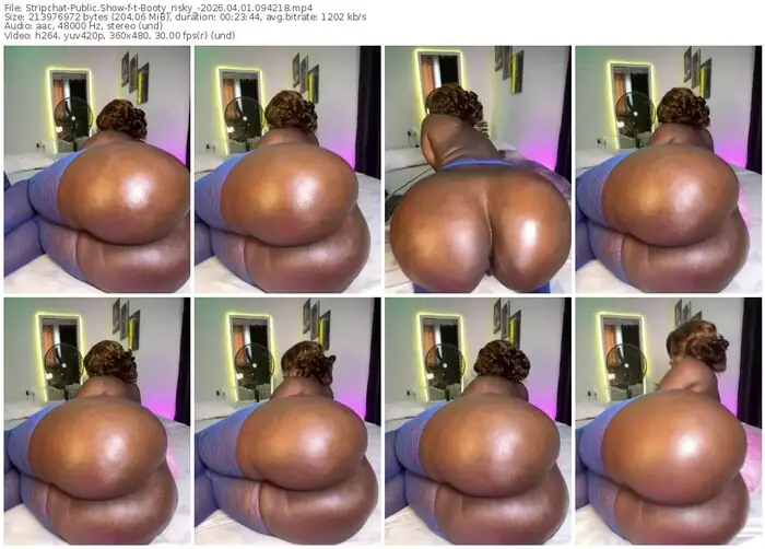 stripchat-t-booty_risky_-04-01-2026-09-42-18
