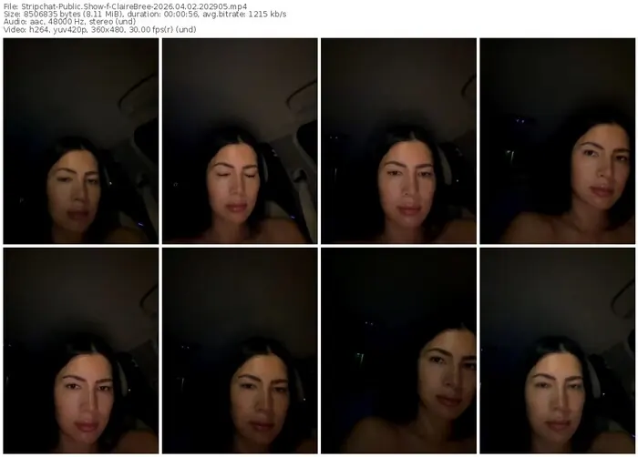 stripchat-clairebree-04-02-2026-20-29-05