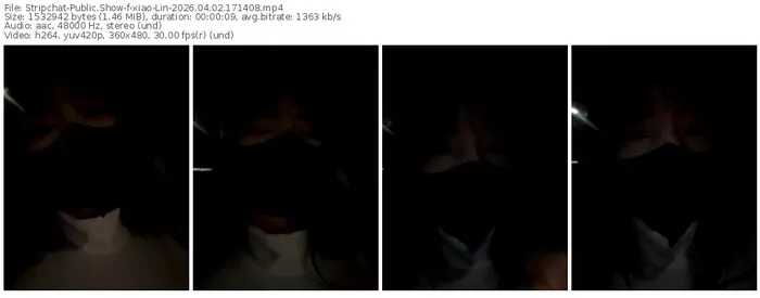 stripchat-xiao-lin-04-02-2026-17-14-08