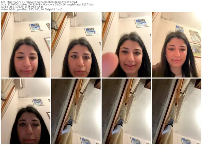 stripchat-zoezoe00-04-02-2026-15-28-13