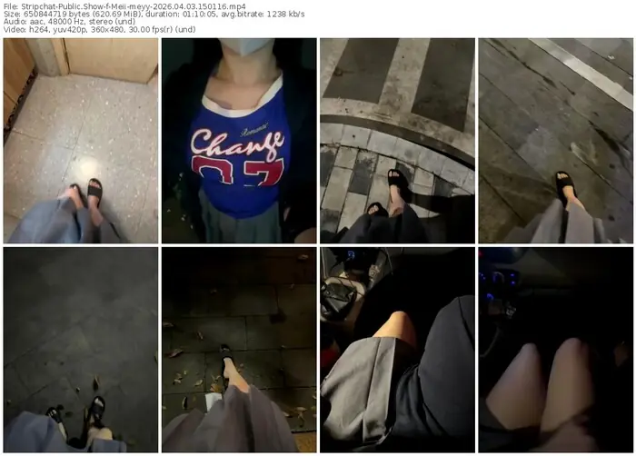 stripchat-meii-meyy-04-03-2026-15-01-16