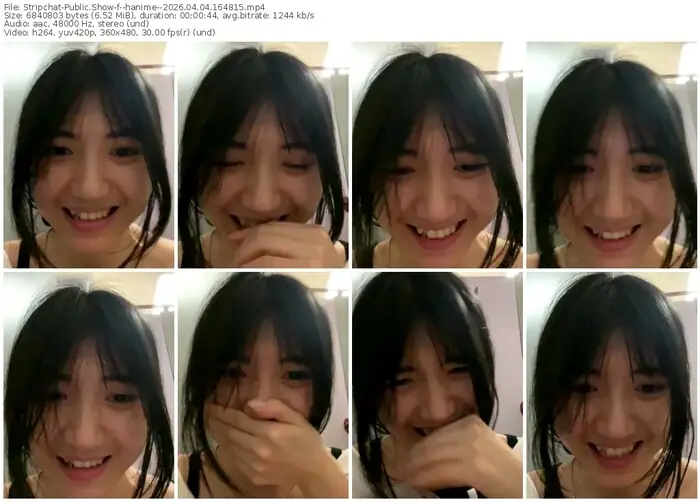 stripchat--hanime--04-04-2026-16-48-15