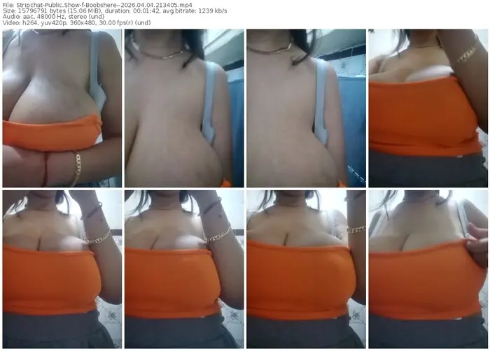 stripchat-boobshere--04-04-2026-21-34-05
