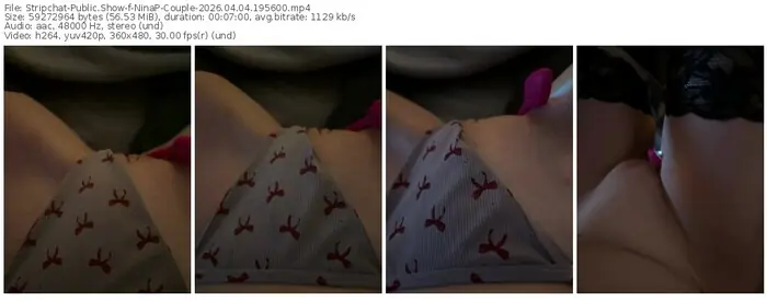 stripchat-ninap-couple-04-04-2026-19-56-00