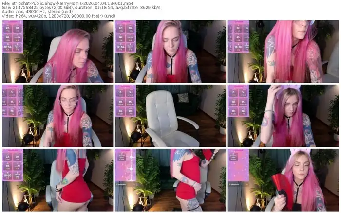 stripchat-terrymorris-04-04-2026-13-46-01