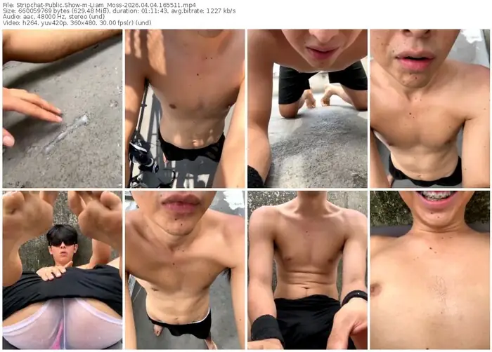 stripchat-liam_moss-04-04-2026-16-55-11