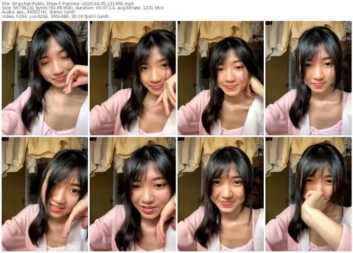 stripchat--hanime--04-05-2026-13-14-59