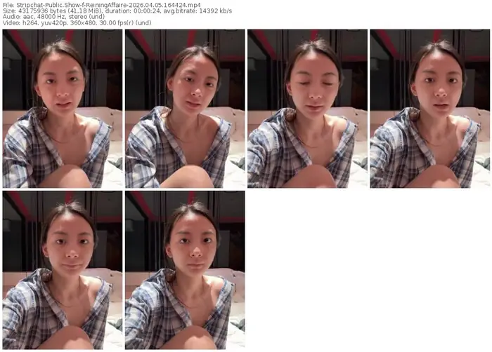 stripchat-reiningaffaire-04-05-2026-16-44-24