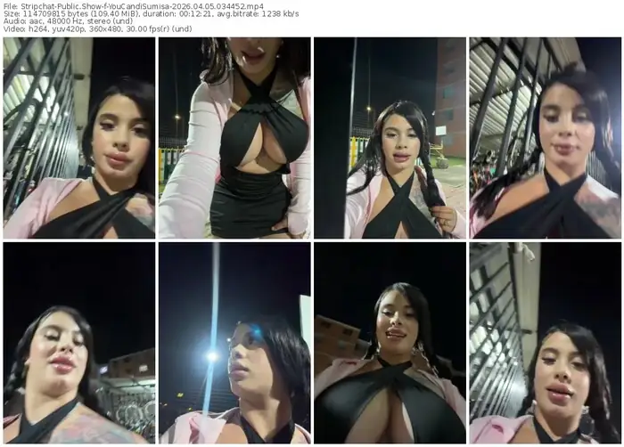 stripchat-youcandisumisa-04-05-2026-03-44-52