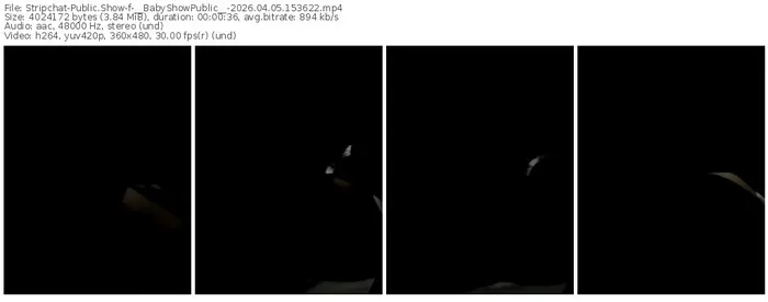 stripchat-__babyshowpublic__-04-05-2026-15-36-22
