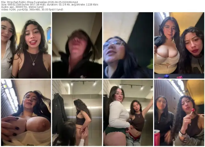 stripchat-vaneelee-04-05-2026-02-24-48