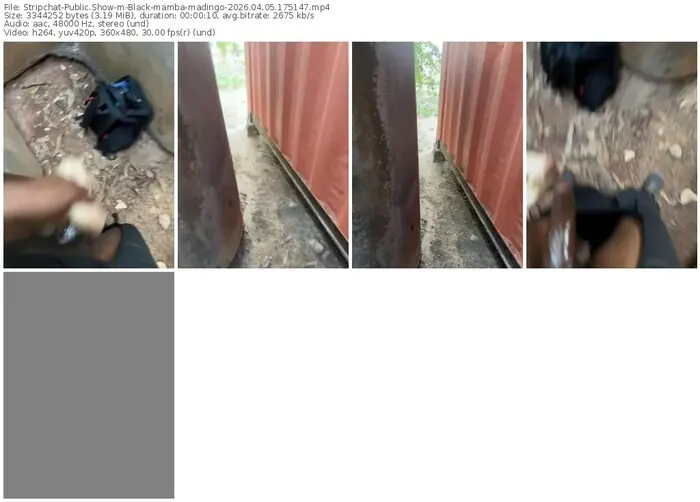 stripchat-black-mamba-madingo-04-05-2026-17-51-47