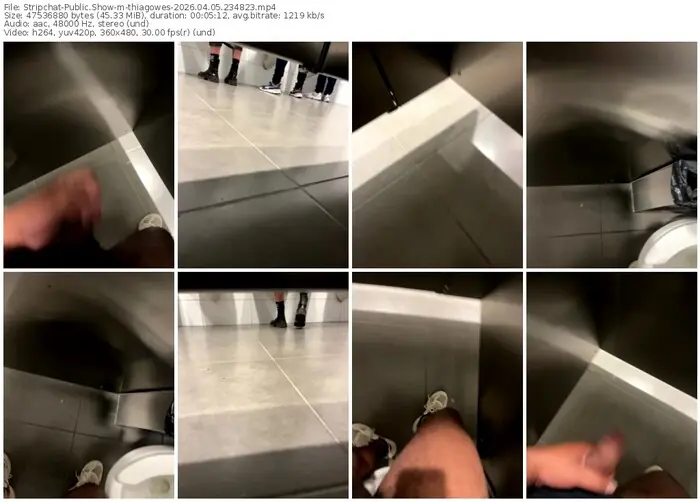 stripchat-thiagowes-04-05-2026-23-48-23