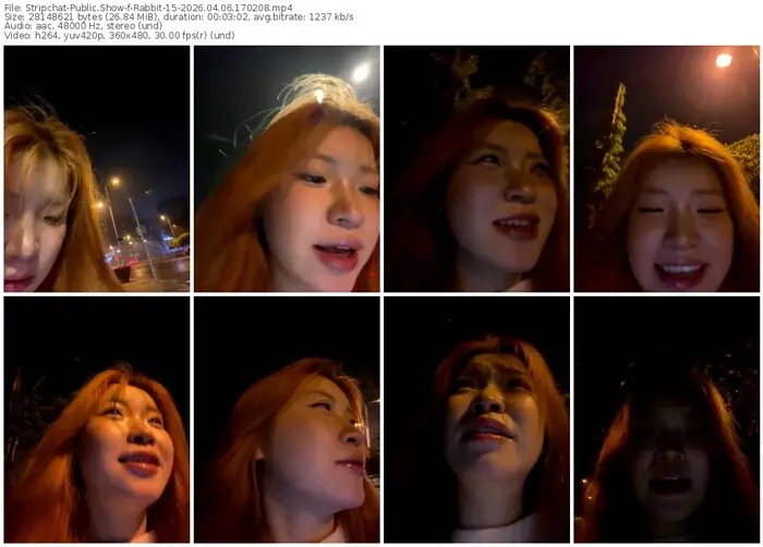 stripchat-rabbit-15-04-06-2026-17-02-08