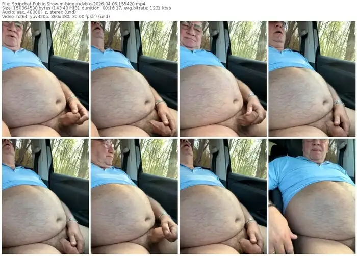 stripchat-biggandybig-04-06-2026-15-54-20