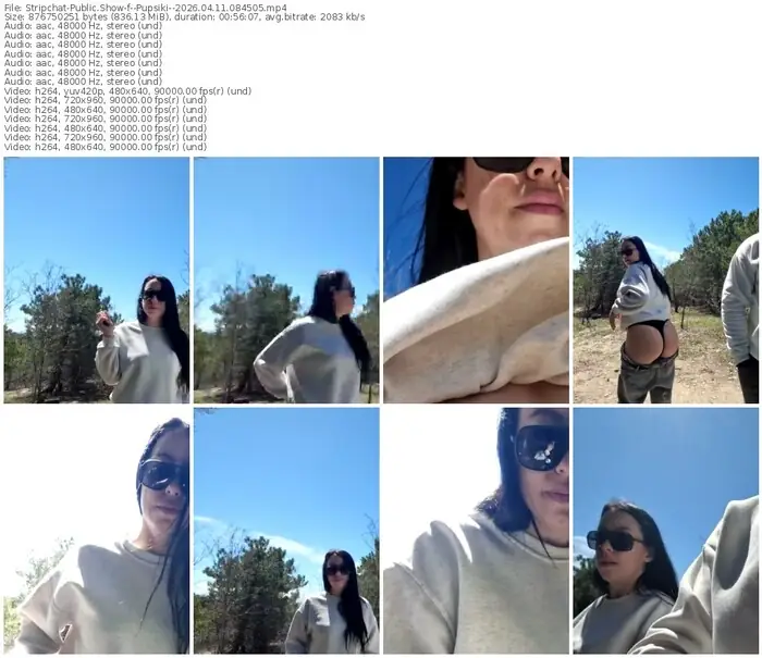 stripchat--pupsiki--04-11-2026-08-45-05