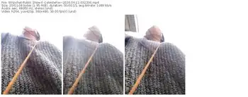 stripchat--celestefox--04-12-2026-03-23-36