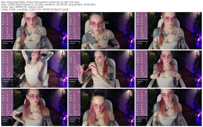 stripchat-terrymorris-04-12-2026-06-17-23