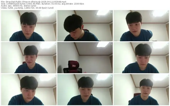 stripchat-dhwisydy-04-12-2026-04-30-48