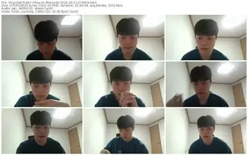 stripchat-dhwisydy-04-12-2026-07-39-54