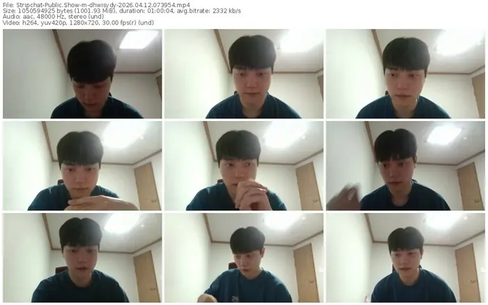 stripchat-dhwisydy-04-12-2026-07-39-54