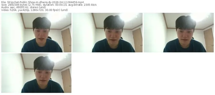 stripchat-dhwisydy-04-12-2026-08-44-59