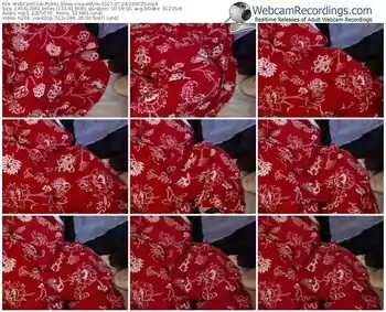 webcamclub-vixenfyre-webcam-show-07_24_2017-09_00_35