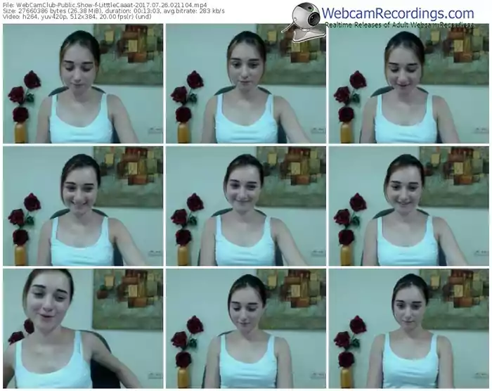 webcamclub-litttlecaaat-webcam-show-07_26_2017-02_11_04