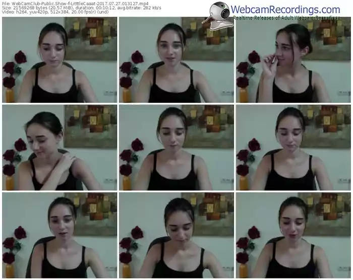 webcamclub-litttlecaaat-webcam-show-07_27_2017-01_31_27