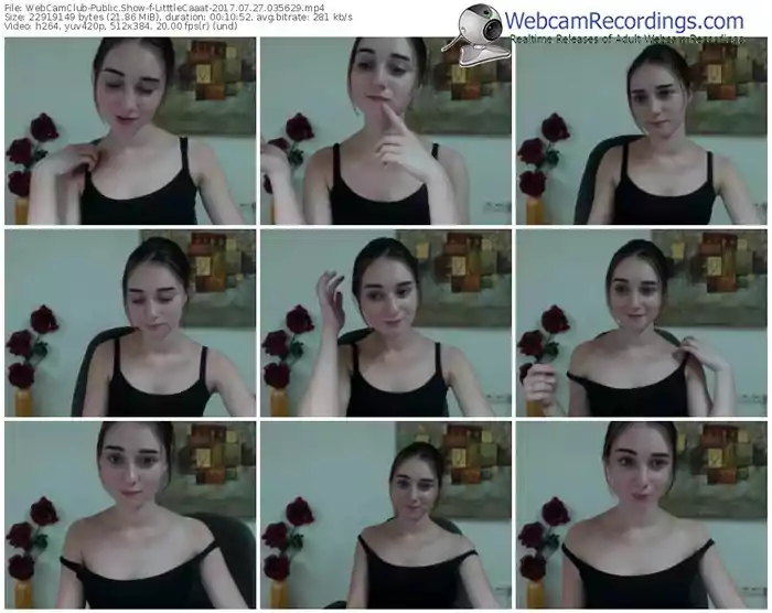 webcamclub-litttlecaaat-webcam-show-07_27_2017-03_56_29