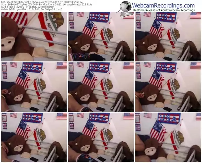 webcamclub-vixenfyre-webcam-show-07_28_2017-08_51_59