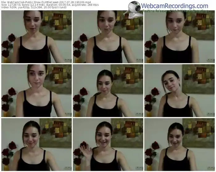 webcamclub-litttlecaaat-webcam-show-07_28_2017-19_02_09