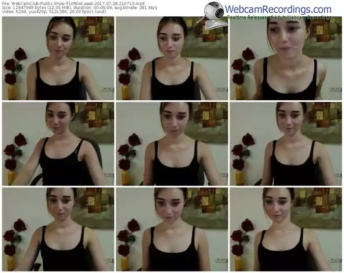 webcamclub-litttlecaaat-webcam-show-07_28_2017-21_07_13