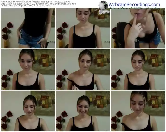 webcamclub-litttlecaaat-webcam-show-07_28_2017-22_22_12