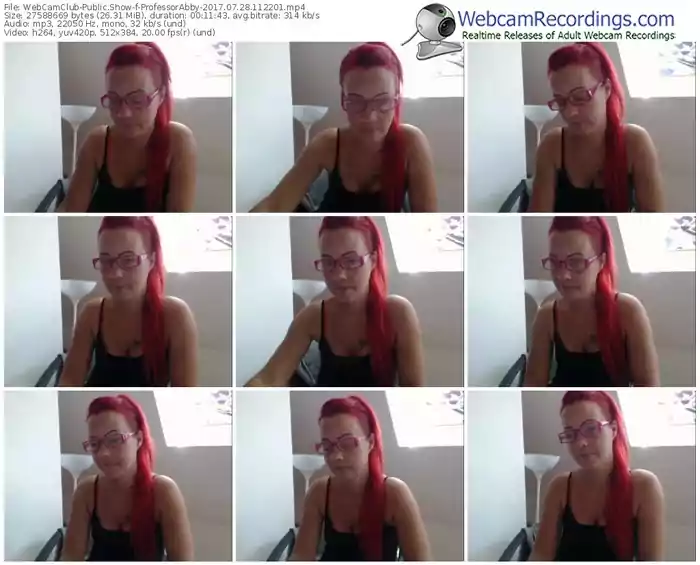 webcamclub-professorabby-webcam-show-07_28_2017-11_22_01