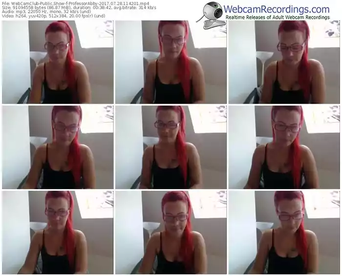 webcamclub-professorabby-webcam-show-07_28_2017-11_42_01