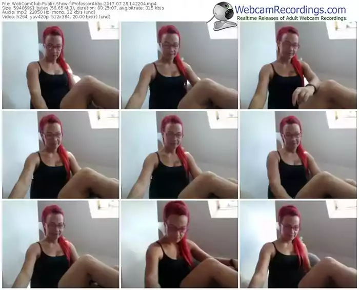 webcamclub-professorabby-webcam-show-07_28_2017-14_22_04