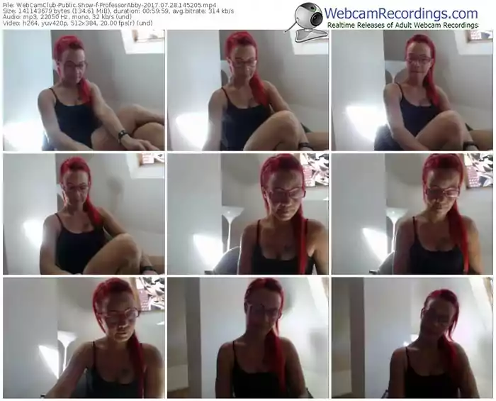 webcamclub-professorabby-webcam-show-07_28_2017-14_52_05