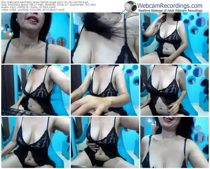 webcamclub-wildcougar-webcam-show-07_28_2017-13_47_03