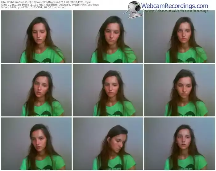 webcamclub-wildtigress-webcam-show-07_28_2017-11_42_01