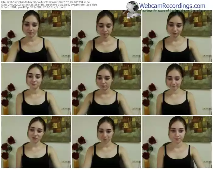 webcamclub-litttlecaaat-webcam-show-07_29_2017-20_02_34