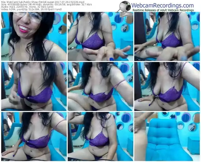 webcamclub-wildcougar-webcam-show-07_29_2017-15_22_29