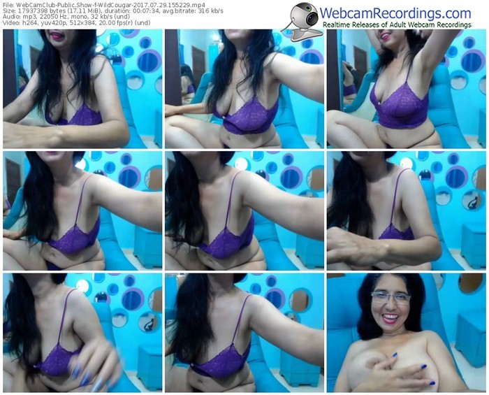 webcamclub-wildcougar-webcam-show-07_29_2017-15_52_29