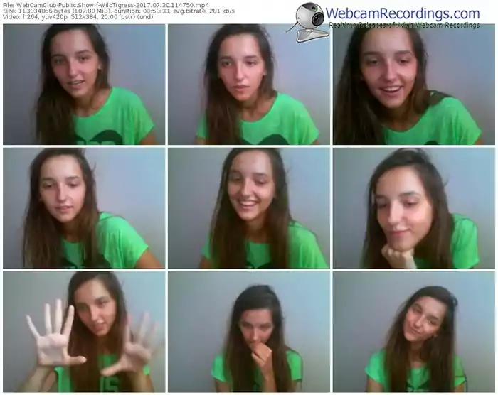 webcamclub-wildtigress-webcam-show-07_30_2017-11_47_50