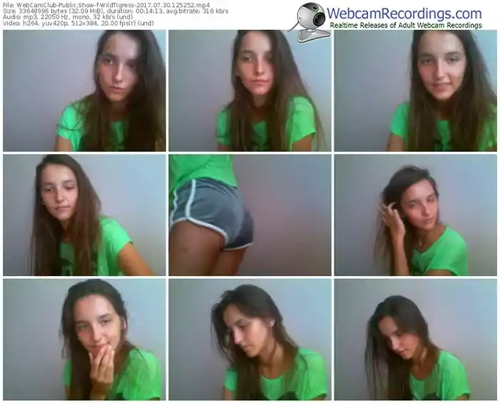 webcamclub-wildtigress-webcam-show-07_30_2017-12_52_52