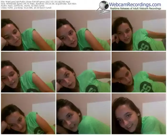 webcamclub-wildtigress-webcam-show-07_30_2017-18_22_56